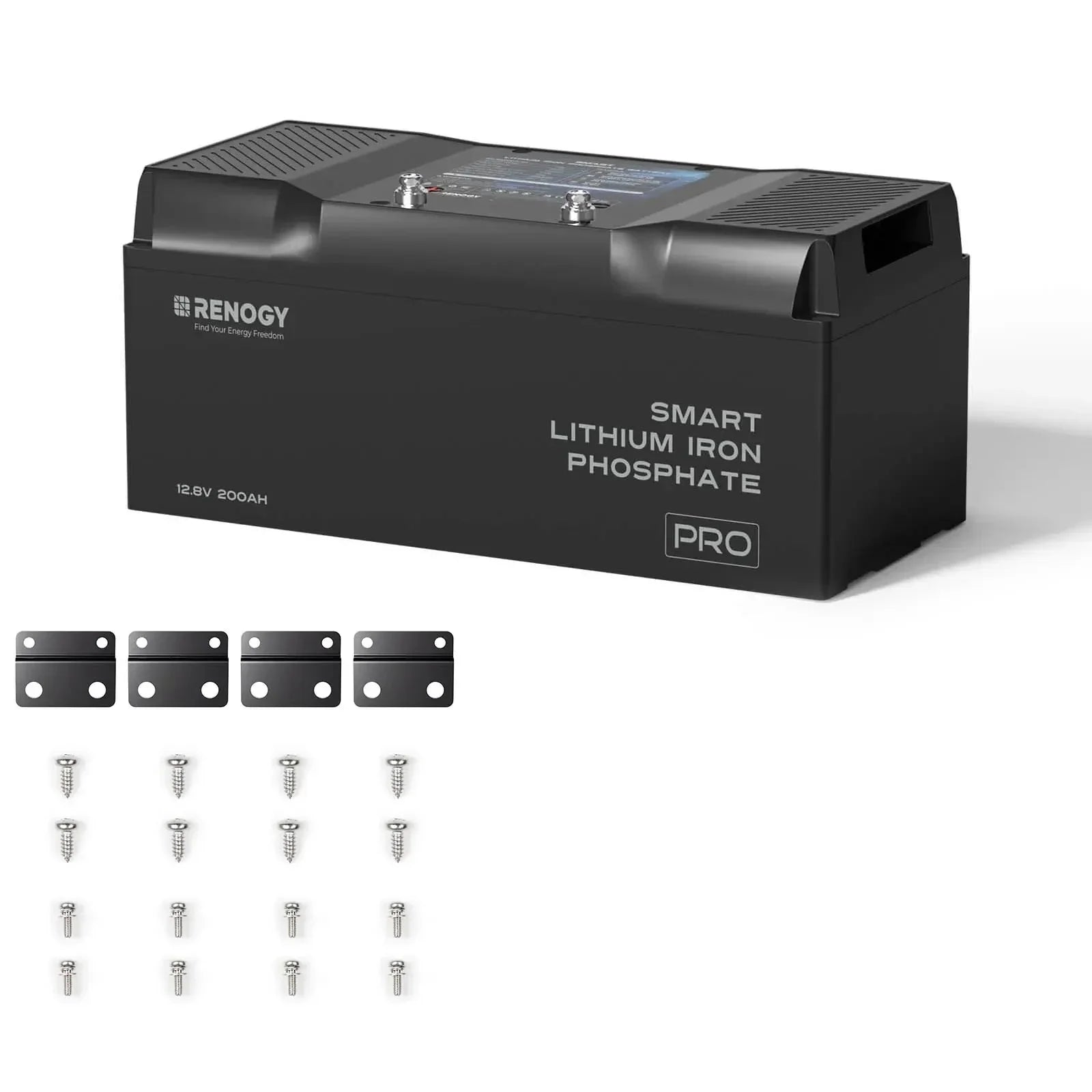 Renogy Pro - 12V 100Ah/200Ah Smart LiFePO4 Battery w/ Bluetooth & Self-Heating - Green Vista Living
