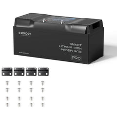 Renogy Pro - 12V 100Ah/200Ah Smart LiFePO4 Battery w/ Bluetooth & Self-Heating - Green Vista Living