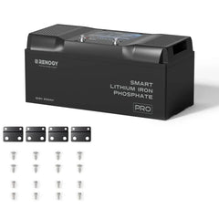 Renogy Pro - 12V 100Ah/200Ah Smart LiFePO4 Battery w/ Bluetooth & Self-Heating - Green Vista Living
