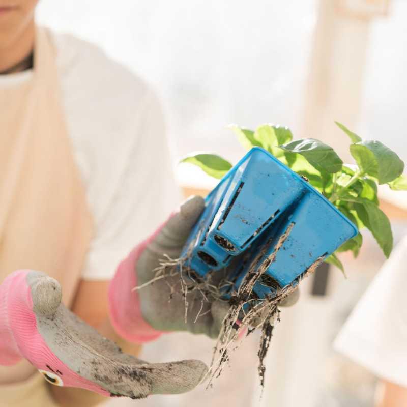 Bootstrap Farmer Classroom Seed Starting Bundle - Green Vista Living