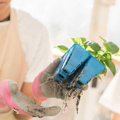 Bootstrap Farmer Classroom Seed Starting Bundle - Green Vista Living