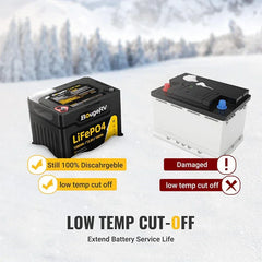 12V 1280Wh/100Ah LiFePO4 Battery - Green Vista Living