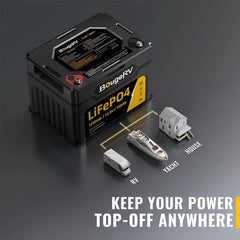 12V 1280Wh/100Ah LiFePO4 Battery - Green Vista Living