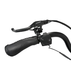 Ecotric 48V 24"x4.0 Front 20"x4.0 Rear Tires Tricycle electric bike with Front Basket + Rear Rack White - Green Vista Living