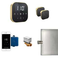 Mr. Steam AirButler Max Steam Shower Control Package with AirTempo Control and Aroma Glass SteamHead - Green Vista Living