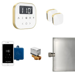 Mr. Steam AirButler Max Steam Shower Control Package with AirTempo Control and Aroma Glass SteamHead - Green Vista Living