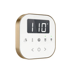 Mr. Steam AirButler Max Linear Steam Shower Control Package with AirTempo Control and Linear SteamHead - Green Vista Living