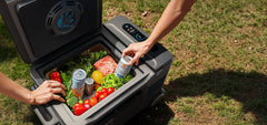 Anker SOLIX EverFrost 2 Cooler 40L w/ 288Wh Battery - Green Vista Living