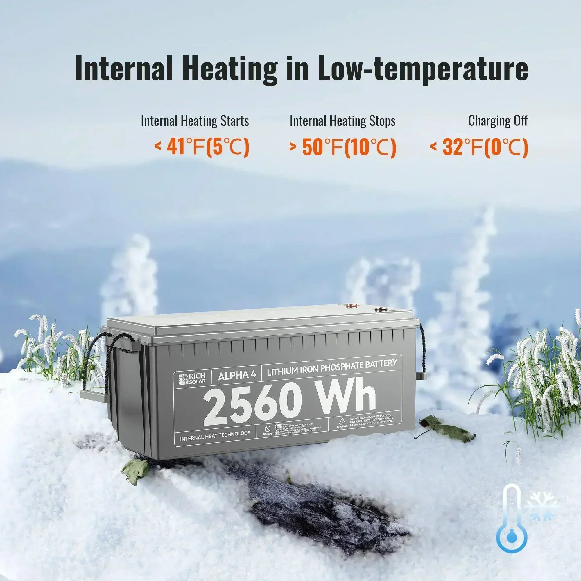 ALPHA 4 | 24V 100Ah LiFePO4 Battery | Powerful 12V Lithium Battery for RVs, Trailers, Vans, Boats, Off-Grid | 5,000 Lifetime Cycles | Bluetooth and Internal Heat Technology - Green Vista Living