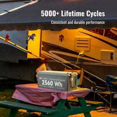 ALPHA 4 | 24V 100Ah LiFePO4 Battery | Powerful 12V Lithium Battery for RVs, Trailers, Vans, Boats, Off-Grid | 5,000 Lifetime Cycles | Bluetooth and Internal Heat Technology - Green Vista Living