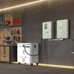 Nature's Generator 50A Automatic Generator Transfer Switch - Green Vista Living