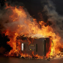Barska 0.54 Cu. ft Fireproof Digital Keypad Safe