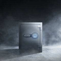 Barska 1.64 Cu. ft Biometric Fireproof Security Safe, Grey