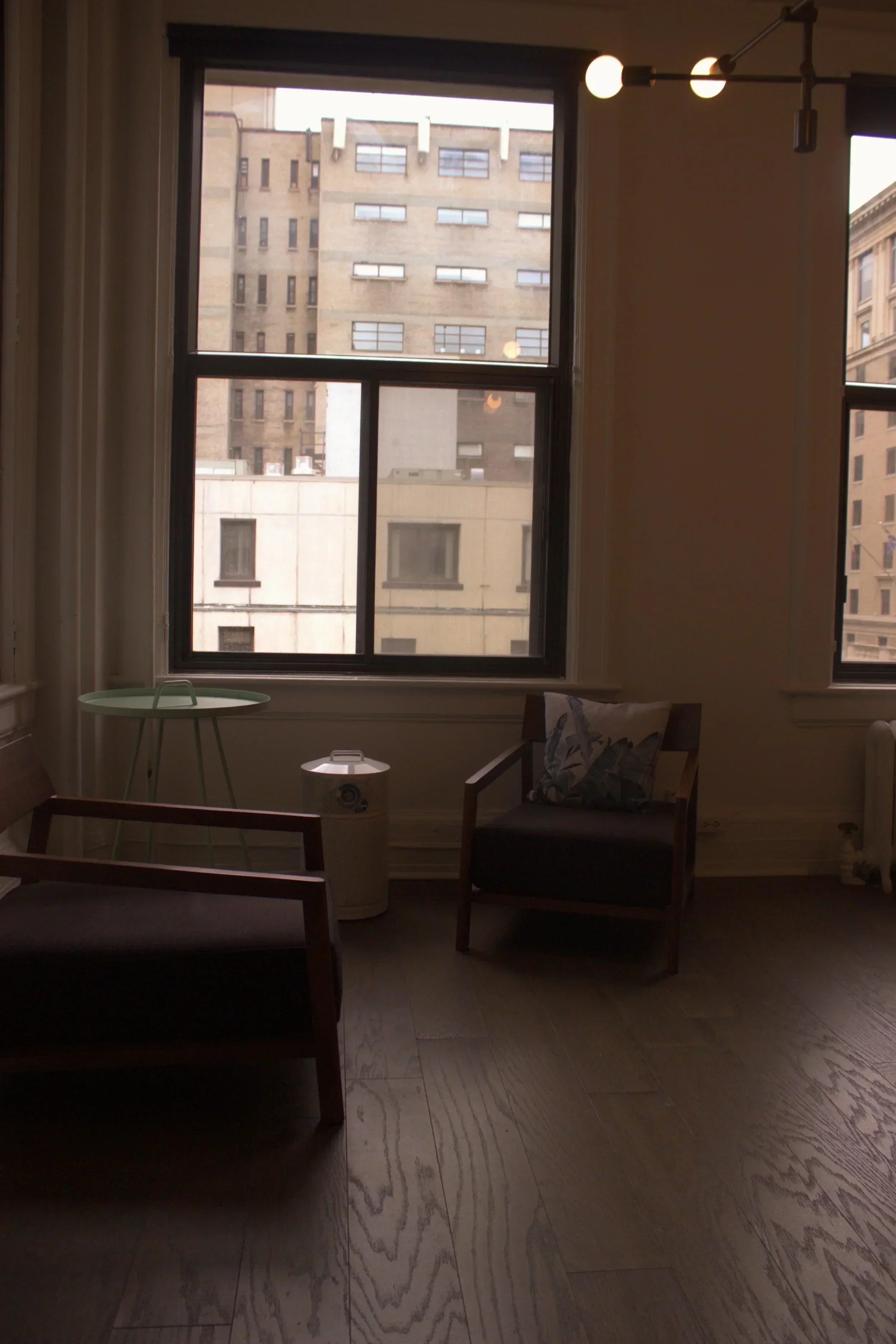 AllerAir - AirMed 1 Supreme Air Purifier - Green Vista Living