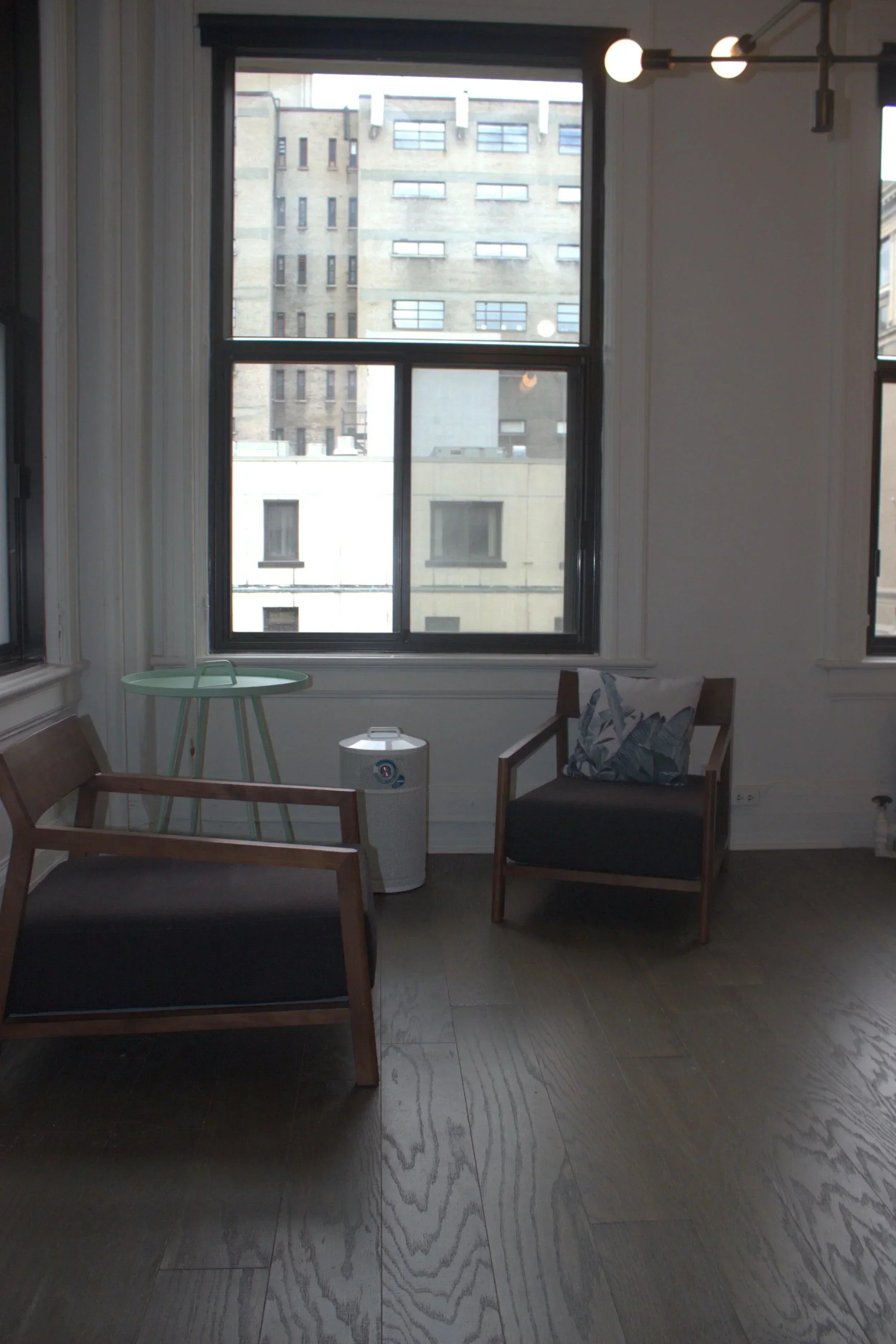 AllerAir - AirMed 3 Supreme Air Purifier - Green Vista Living