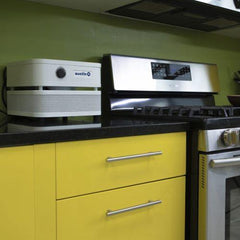 Austin Air "it" Personal Air Purifier - Green Vista Living