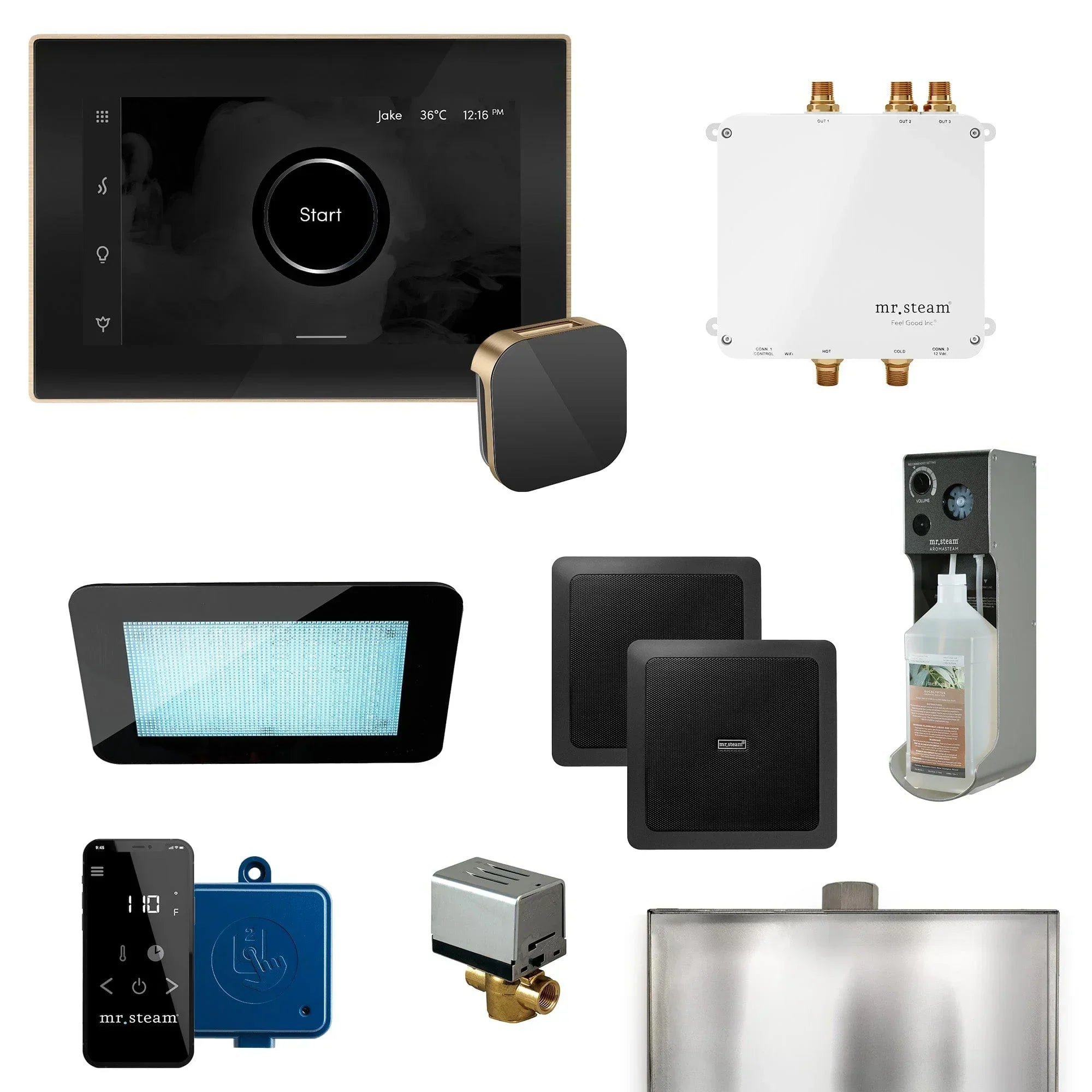 Mr. Steam Bliss Programmable Steam Generator Control Kit with iSteamX Control and Aroma Glass Steamhead - Green Vista Living