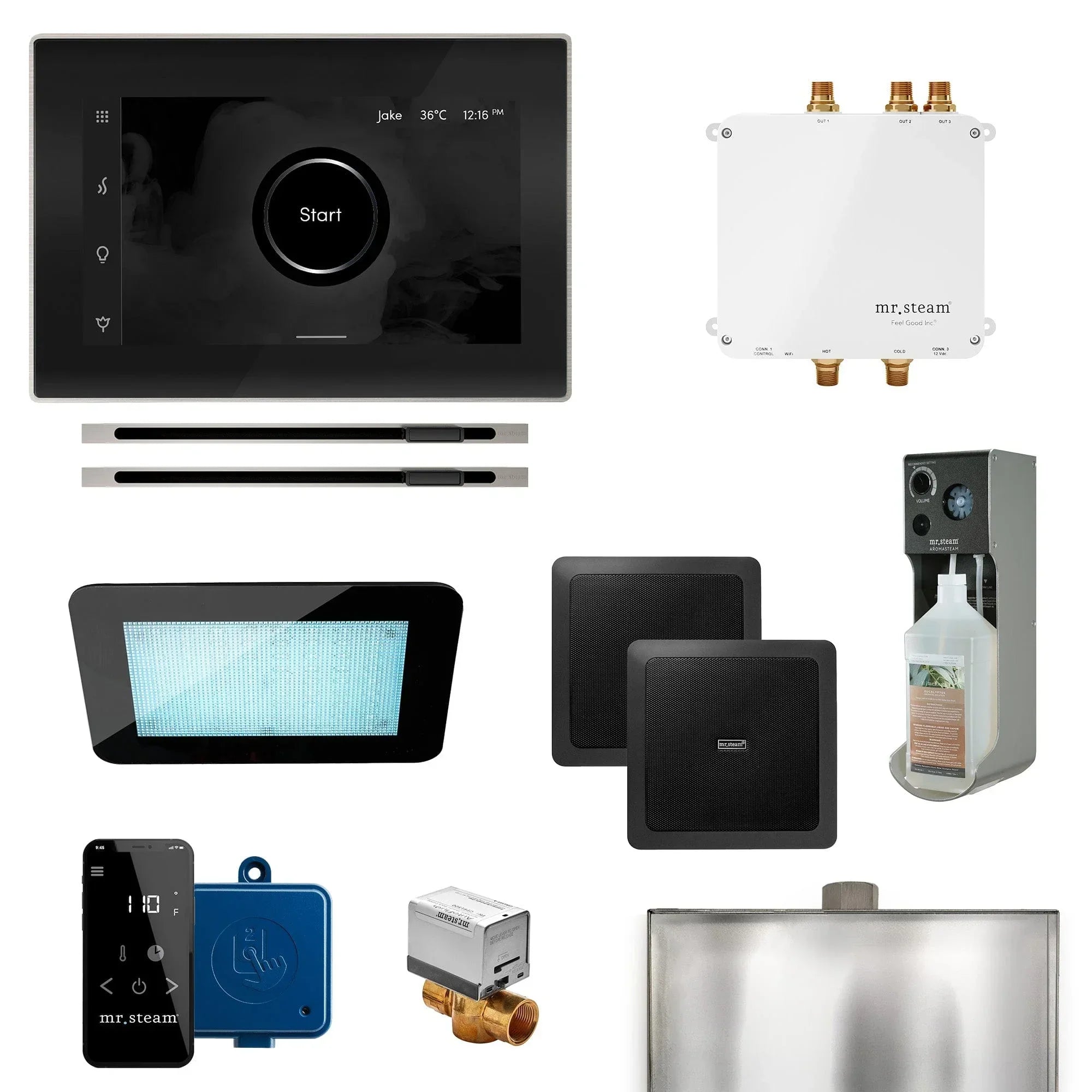 Mr. Steam Bliss Max Linear Programmable Steam Generator Control Kit with iSteamX Control and Linear Steamhead - Green Vista Living