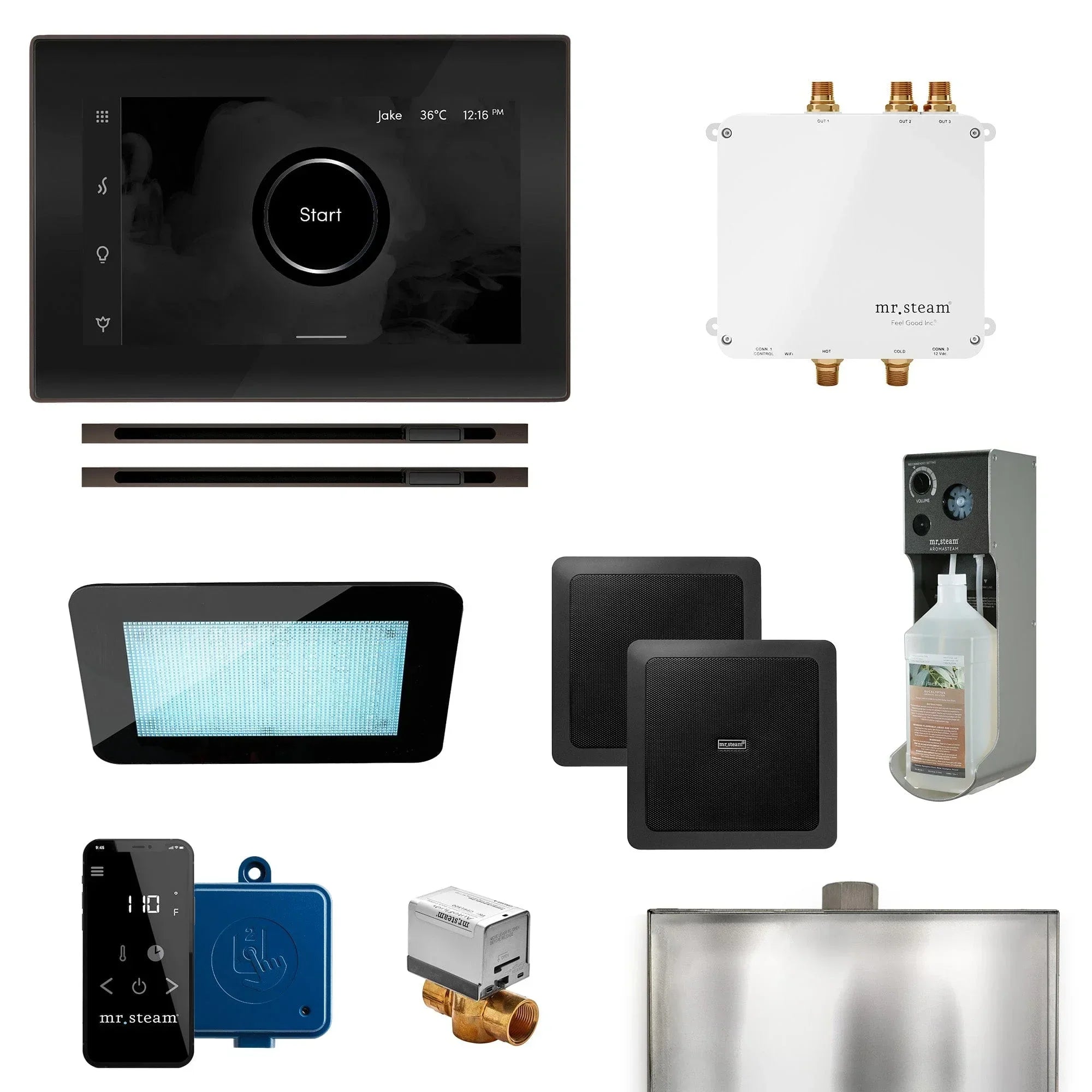 Mr. Steam Bliss Max Linear Programmable Steam Generator Control Kit with iSteamX Control and Linear Steamhead - Green Vista Living