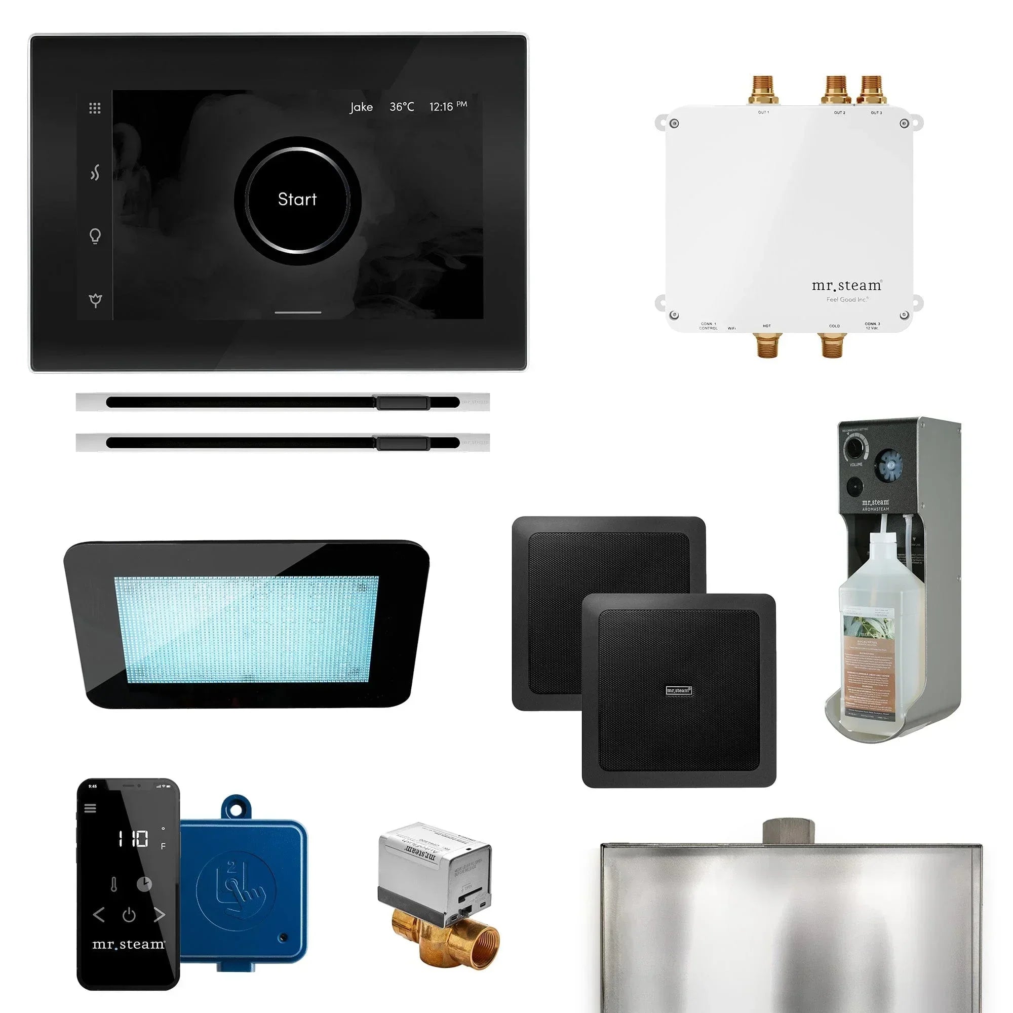 Mr. Steam Bliss Max Linear Programmable Steam Generator Control Kit with iSteamX Control and Linear Steamhead - Green Vista Living