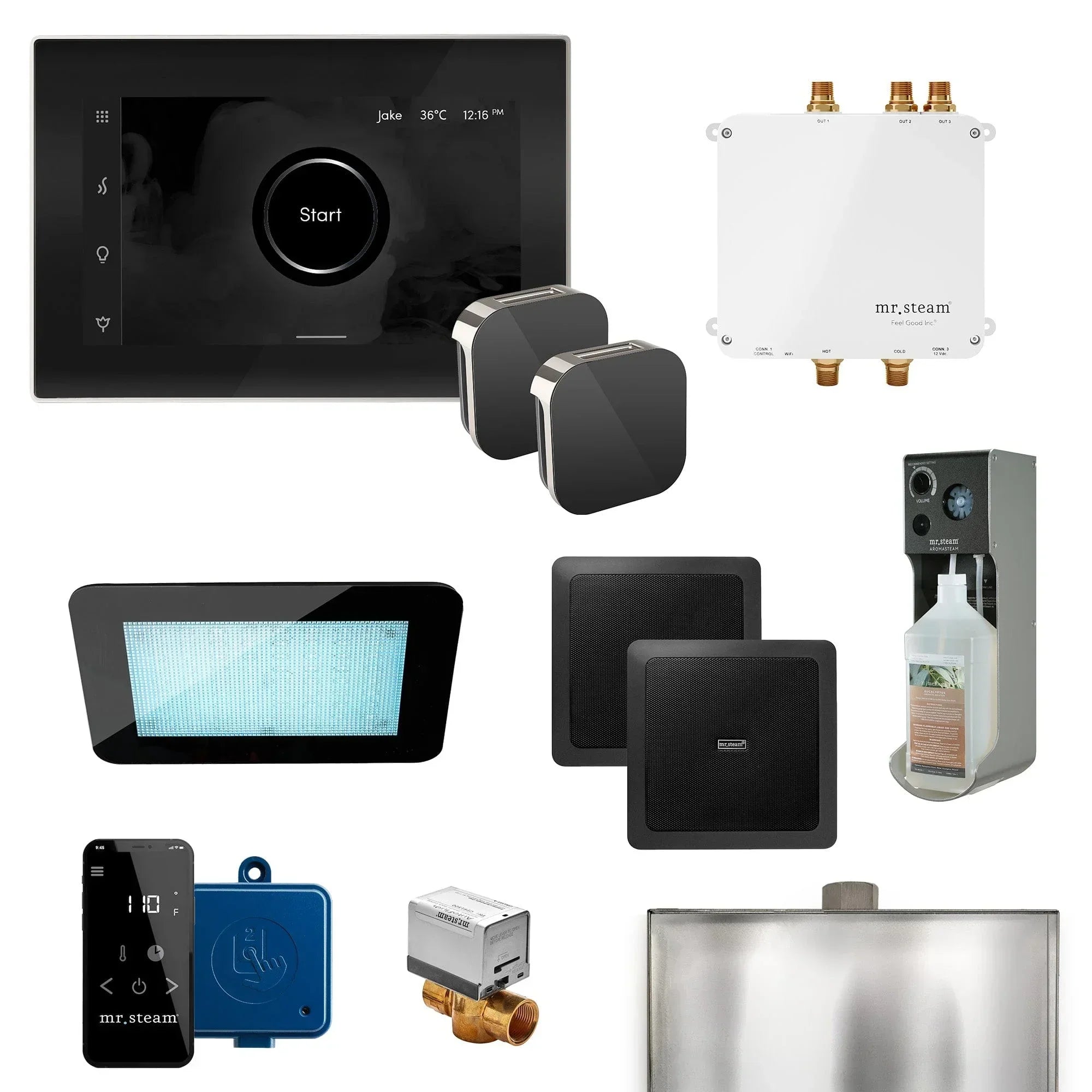 Mr. Steam Bliss Max Programmable Steam Generator Control Kit with iSteamX Control and Aroma Glass Steamhead - Green Vista Living