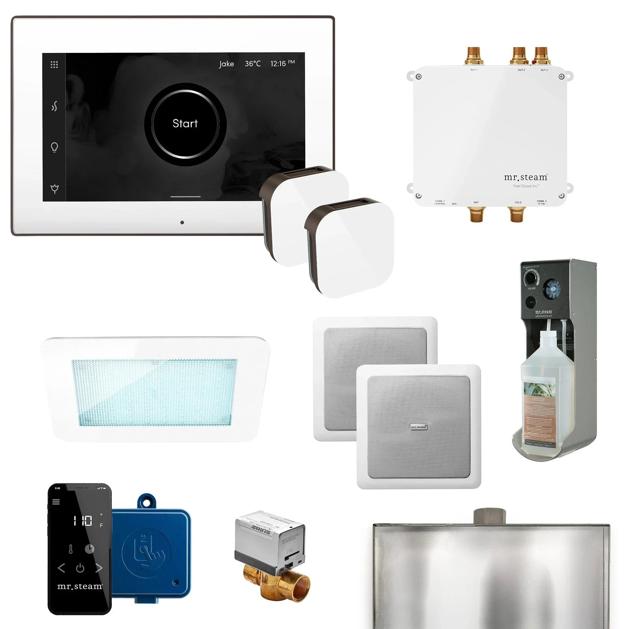 Mr. Steam Bliss Max Programmable Steam Generator Control Kit with iSteamX Control and Aroma Glass Steamhead - Green Vista Living