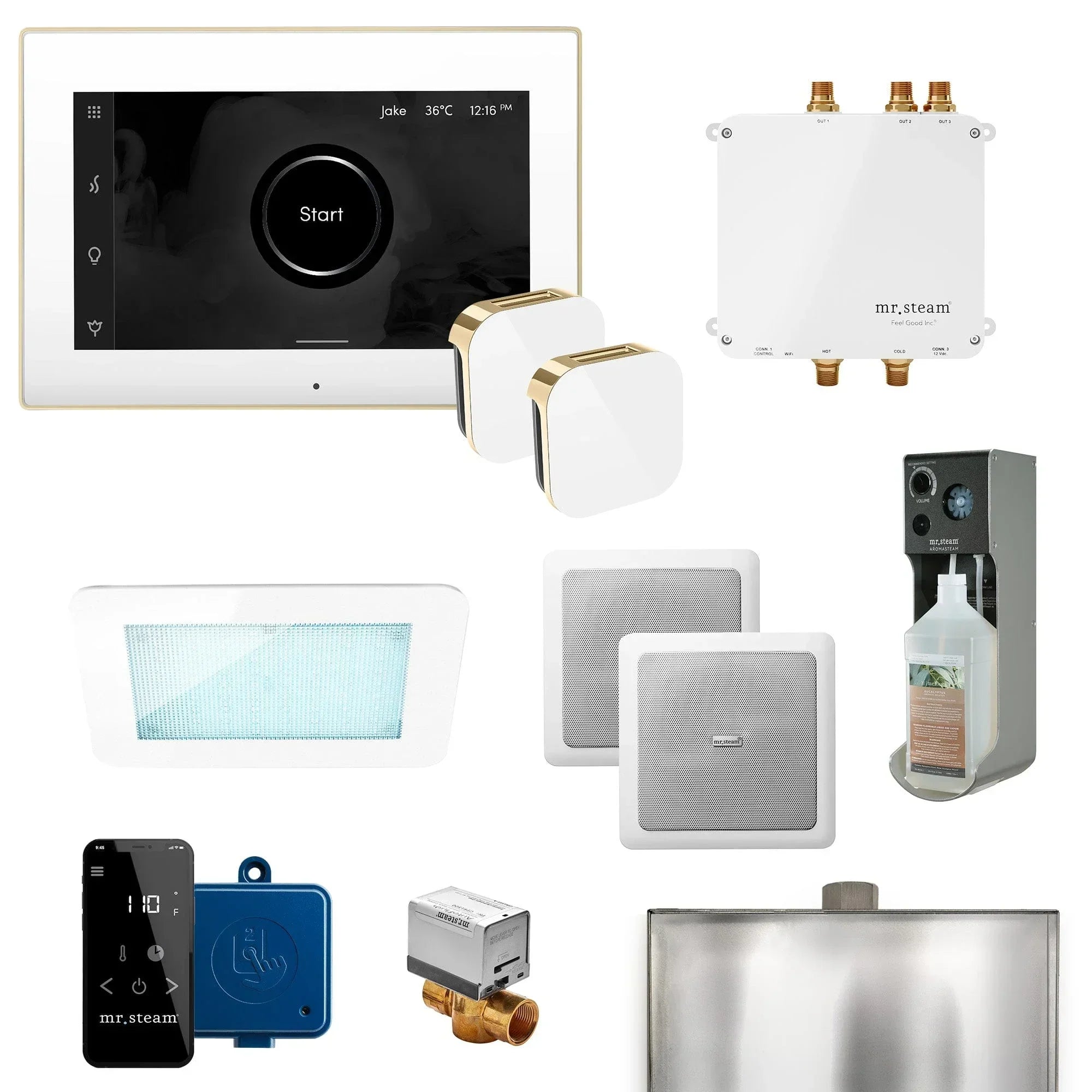 Mr. Steam Bliss Max Programmable Steam Generator Control Kit with iSteamX Control and Aroma Glass Steamhead - Green Vista Living