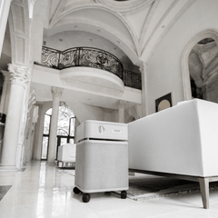 Austin Air Systems Healthmate Plus - Green Vista Living