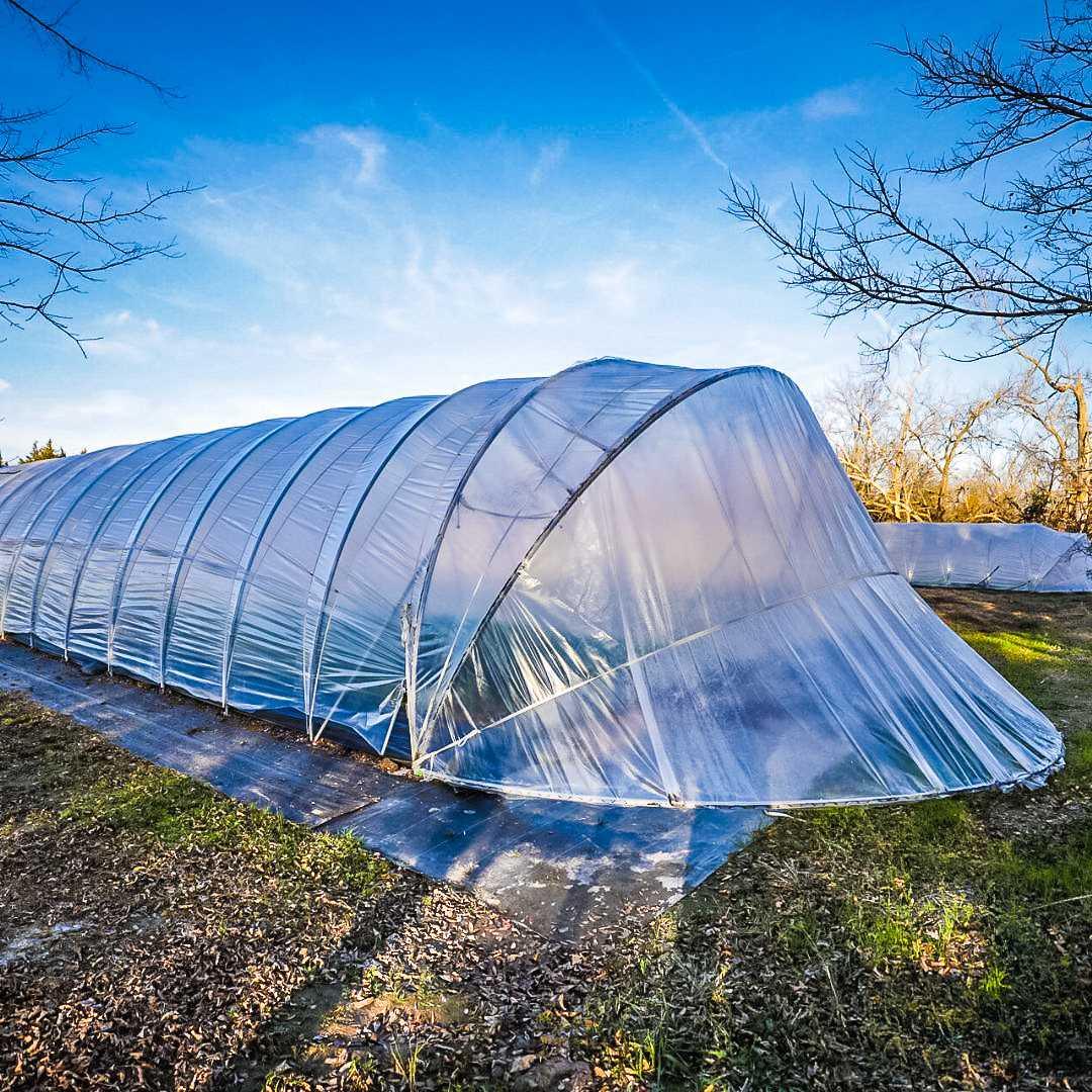 Bootstrap Farmer All-Metal Caterpillar Tunnel Kit - Green Vista Living