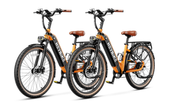 Heybike Cityrun-Combo - Green Vista Living