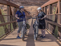 Heybike Alpha - Green Vista Living