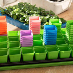 Bootstrap Farmer Classroom Seed Starting Bundle - Green Vista Living