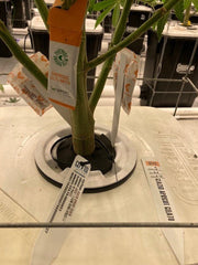 Current Culture H2O RDWC Hydroponic Grow System 2 Row 40" Plant Spacing | UC4XXL13