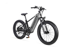Cyrusher Zenith Fat Tire Electric Bike