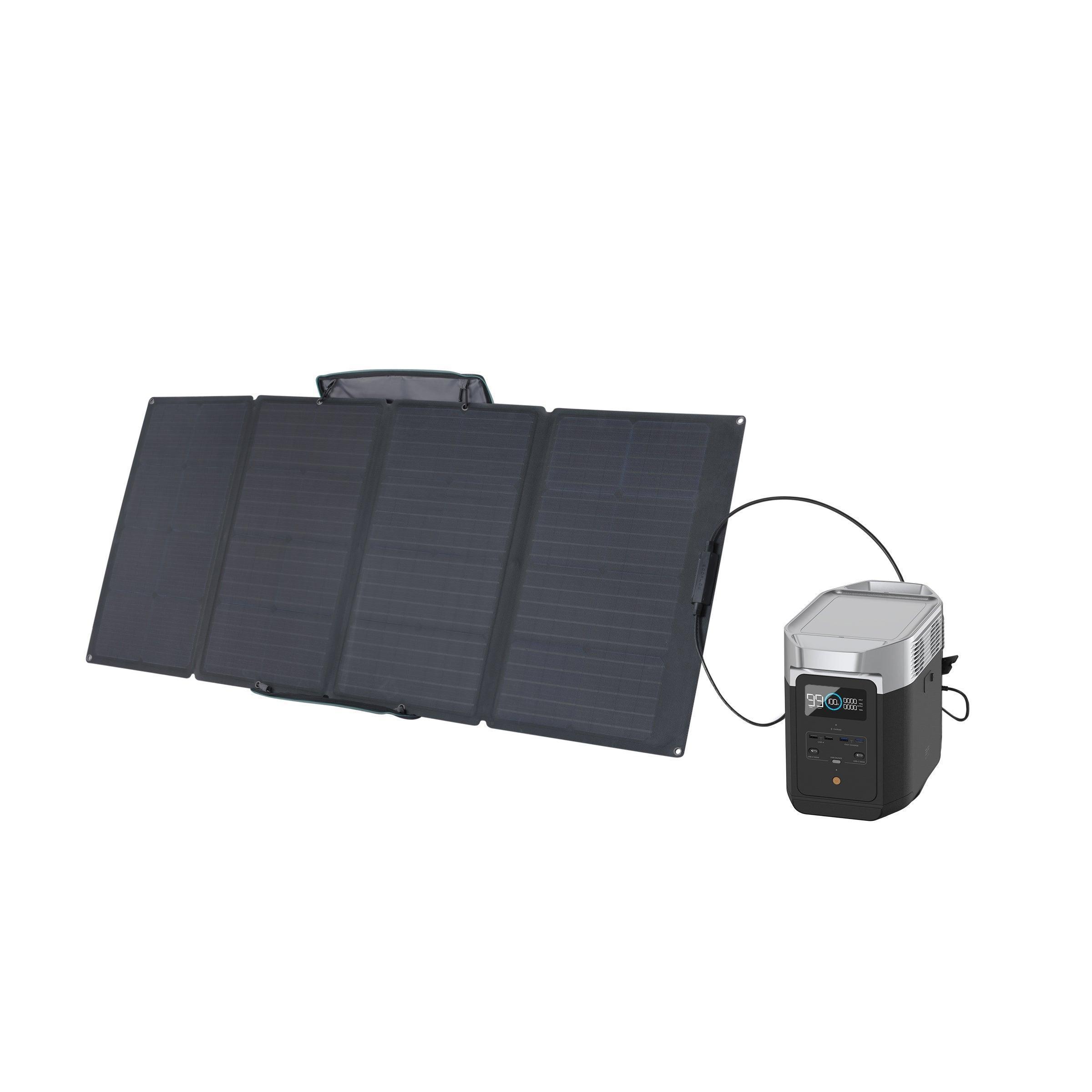 EcoFlow DELTA 2 + 160W Solar Panel - Green Vista Living