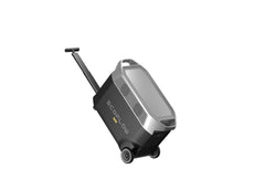 EcoFlow DELTA Pro Portable Power Station Solar Generator - Green Vista Living