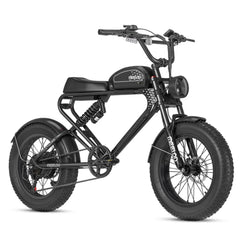MEELOD DK300 PLUS | 1200W Motor, 50-100 Miles Range - Green Vista Living