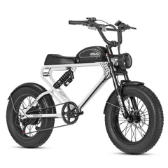 MEELOD DK300 PLUS | 1200W Motor, 50-100 Miles Range - Green Vista Living