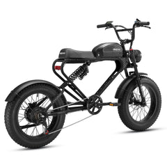 MEELOD DK300 PLUS | 1200W Motor, 50-100 Miles Range - Green Vista Living