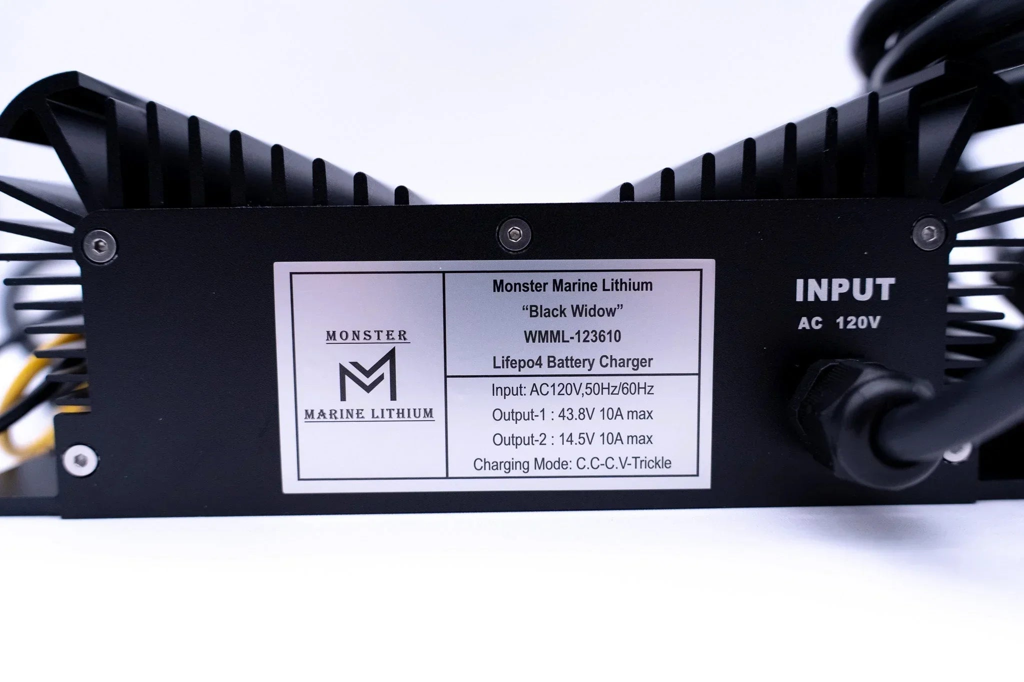 Monster Marine Lithium Lifepo4 battery charger with AC input and dual output specs label