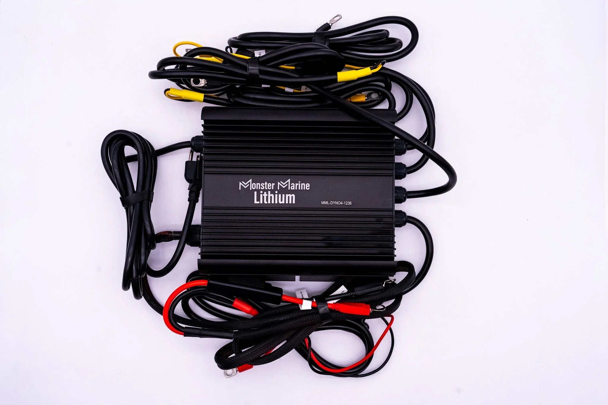 36v DYNO4 Dynamic Charger - Green Vista Living