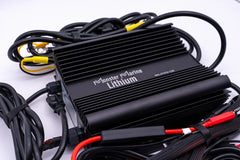 36v DYNO4 Dynamic Charger - Green Vista Living
