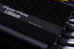 36v DYNO4 Dynamic Charger - Green Vista Living