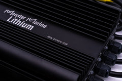 36v DYNO4 Dynamic Charger - Green Vista Living