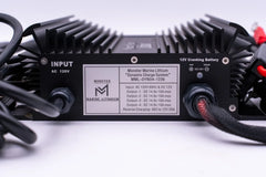 36v DYNO4 Dynamic Charger - Green Vista Living