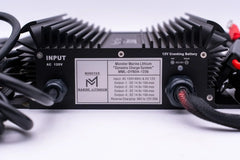 36v DYNO4 Dynamic Charger - Green Vista Living
