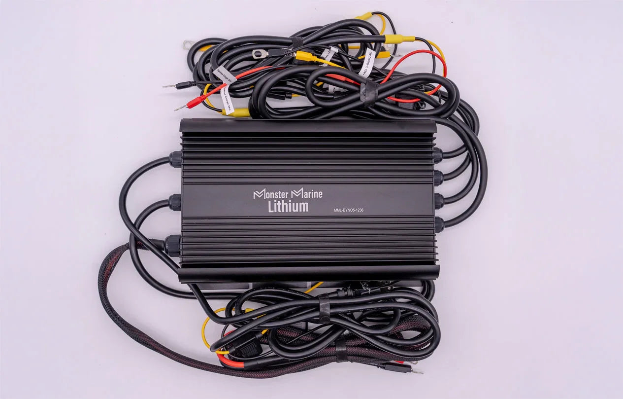 36v - DYNO5 - DYNAMIC CHARGER - Green Vista Living