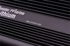 36v - DYNO5 - DYNAMIC CHARGER - Green Vista Living