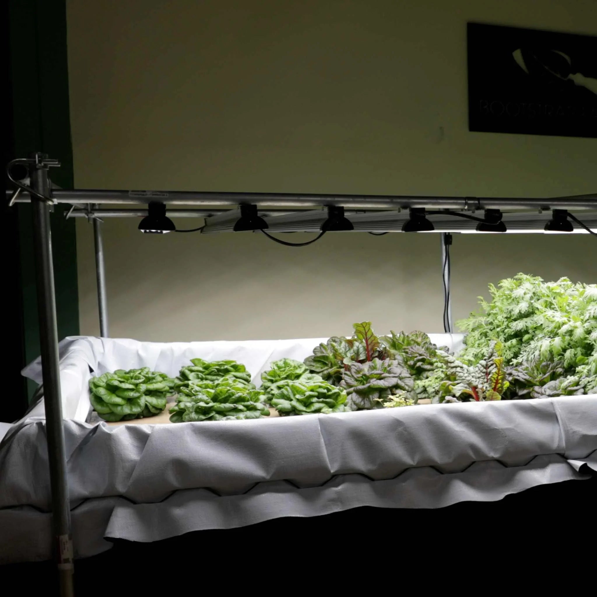 Bootstrap Farmer Deep Water Culture (DWC) Kit - Green Vista Living