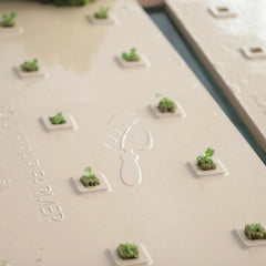 Bootstrap Farmer Deep Water Greens Raft - Green Vista Living
